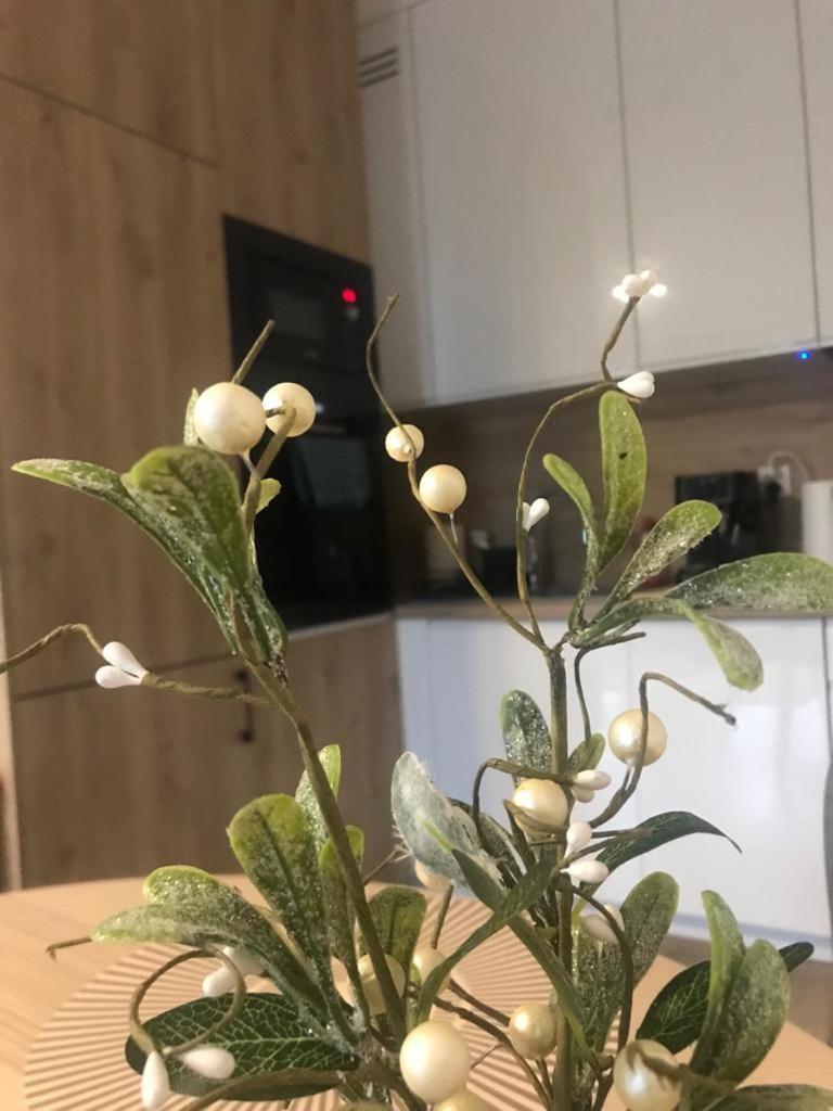 Apartament Kameralis Old Town - Klimatyzacja - Balkon - Winda Elbląg Eksteriør billede